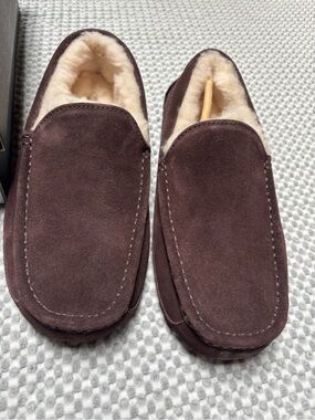 UGGS NIB Mens Ascot Slippers Size 7 1101110 Shoes Espresso Suede Wool Sheepskin